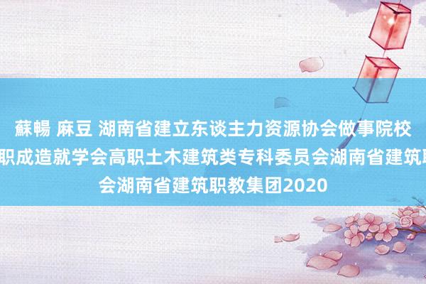 蘇暢 麻豆 湖南省建立东谈主力资源协会做事院校委员会湖南省职成造就学会高职土木建筑类专科委员会湖南省建筑职教集团2020