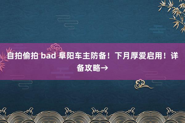 自拍偷拍 bad 阜阳车主防备！下月厚爱启用！详备攻略→