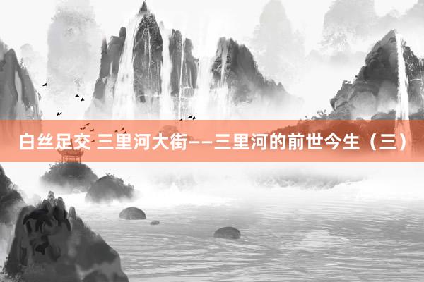 白丝足交 三里河大街——三里河的前世今生（三）