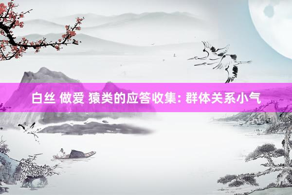 白丝 做爱 猿类的应答收集: 群体关系小气